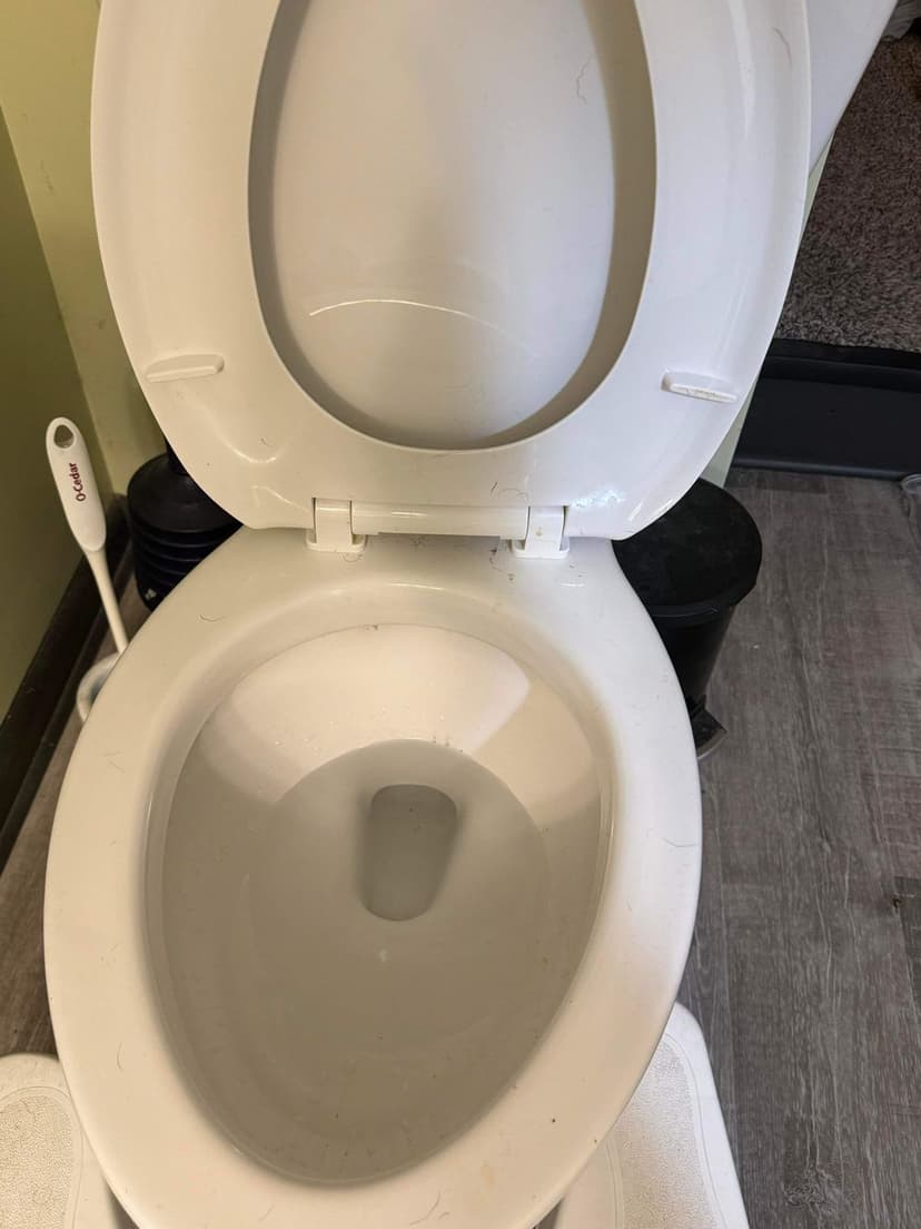100% Satisfaction Guarantee's image